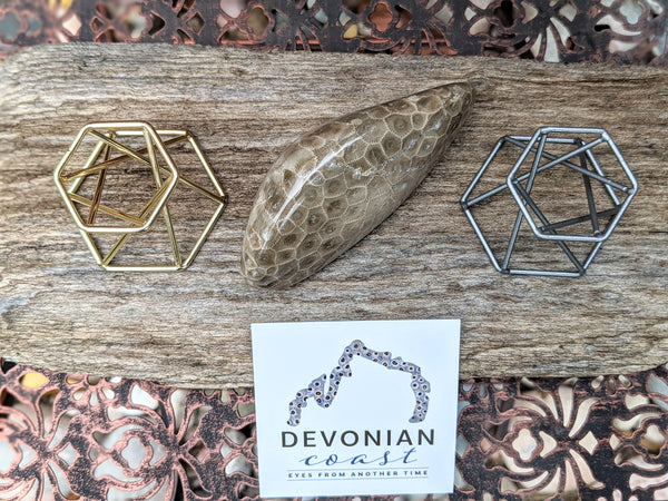 Hexagonal Display Stand for Petoskey Stones | Rock Stand | Mineral Fossil Specimen Geode Stand | Sphere Display