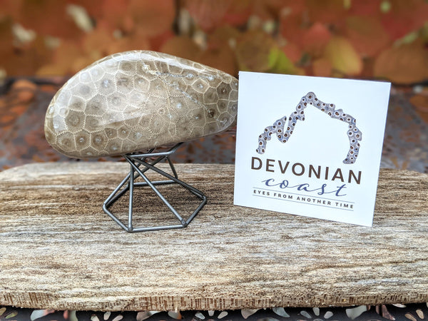 Hexagonal Display Stand for Petoskey Stones | Rock Stand | Mineral Fossil Specimen Geode Stand | Sphere Display