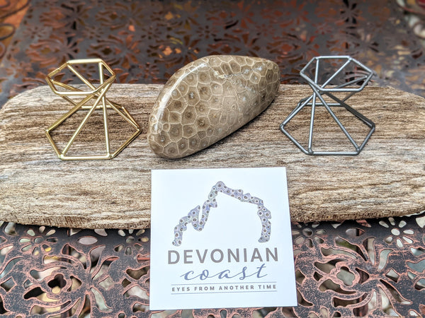 Hexagonal Display Stand for Petoskey Stones | Rock Stand | Mineral Fossil Specimen Geode Stand | Sphere Display