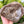 Large Artisan Petoskey Stone Bowl