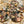Lake Michigan Shoreline Petoskey Stone Coasters Angle