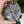 QUARTZ RIVER! Polished Petoskey Stone #414 Charlevoix Coral Fossil Pure Michigan Gift Lake Home Decor Display Rock Art