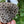 QUARTZ RIVER! Polished Petoskey Stone #414 Charlevoix Coral Fossil Pure Michigan Gift Lake Home Decor Display Rock Art